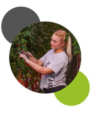 Supply advantage thumbnail